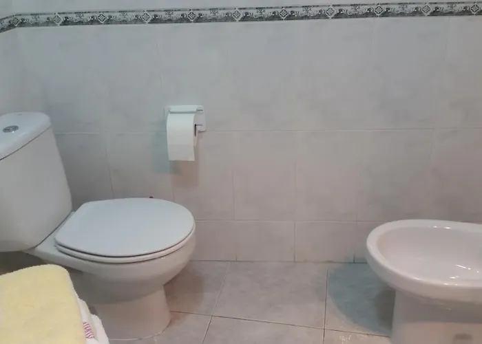 Timon Puerto * 格罗韦